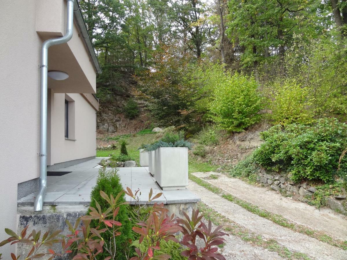 Vila Lom Velke Losiny Exterior photo